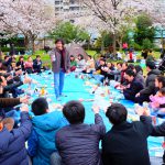 sakura hanami