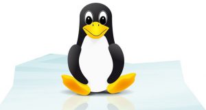 Những câu lệnh thường dùng khi quản lý network trong Linux