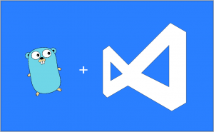 Mẫu launch config app Golang trong VS Code